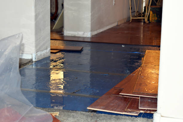 Professional Burst Pipe Cleanup technician working in Mantua, UT