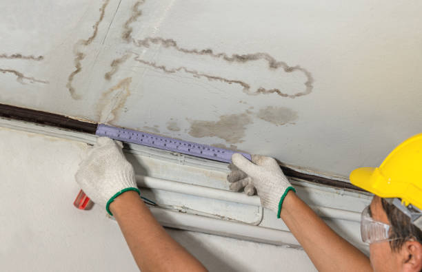 Reliable Burst Pipe Cleanup contractor in Mantua, UT by Water Damage Irwin